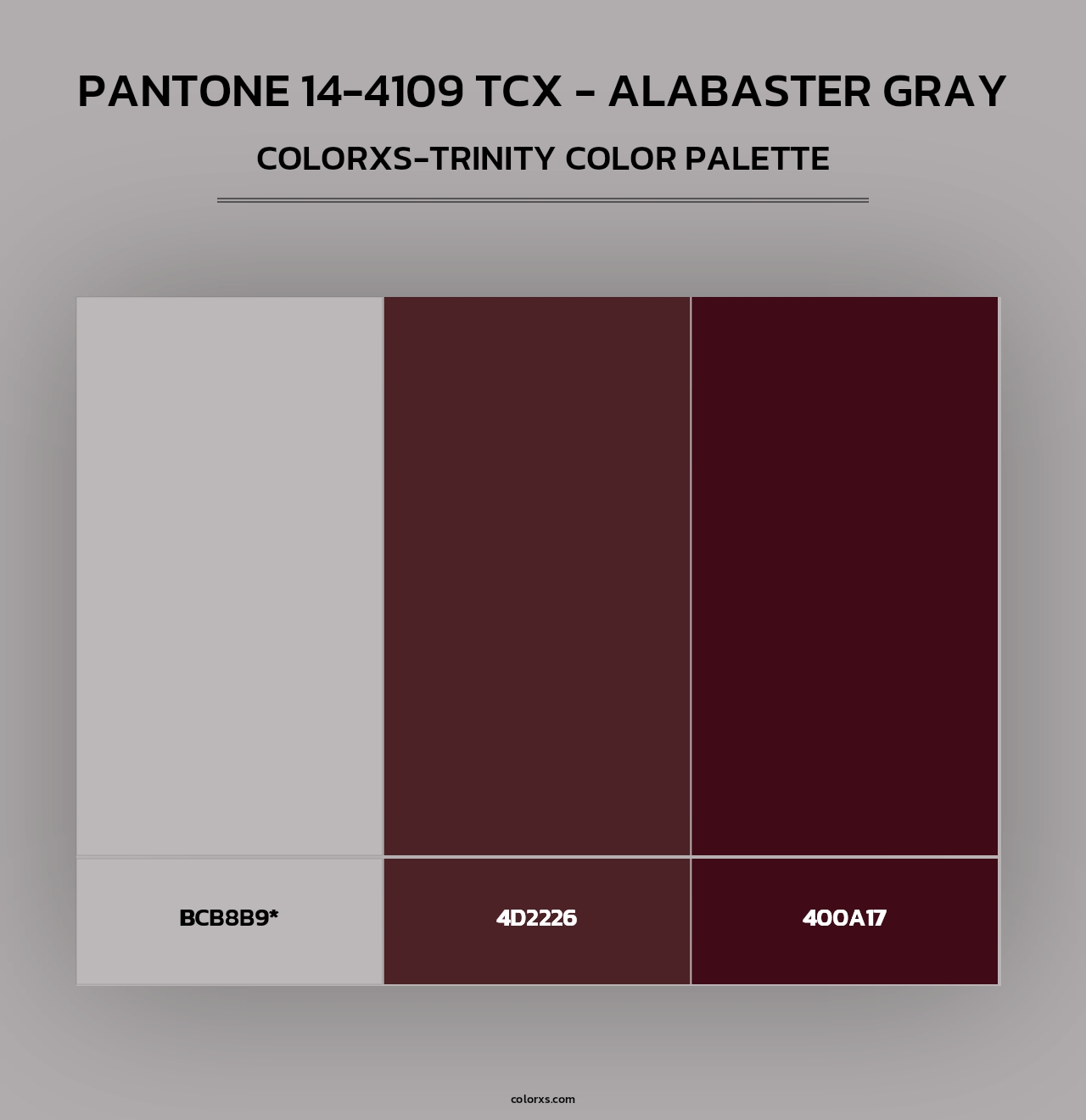 Pantone 14-4109 TCX - Alabaster Gray - Colorxs Trinity Palette