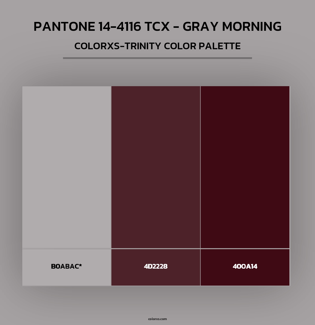 PANTONE 14-4116 TCX - Gray Morning - Colorxs Trinity Palette