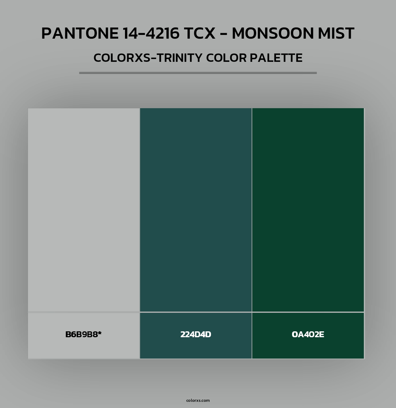 PANTONE 14-4216 TCX - Monsoon Mist - Colorxs Trinity Palette