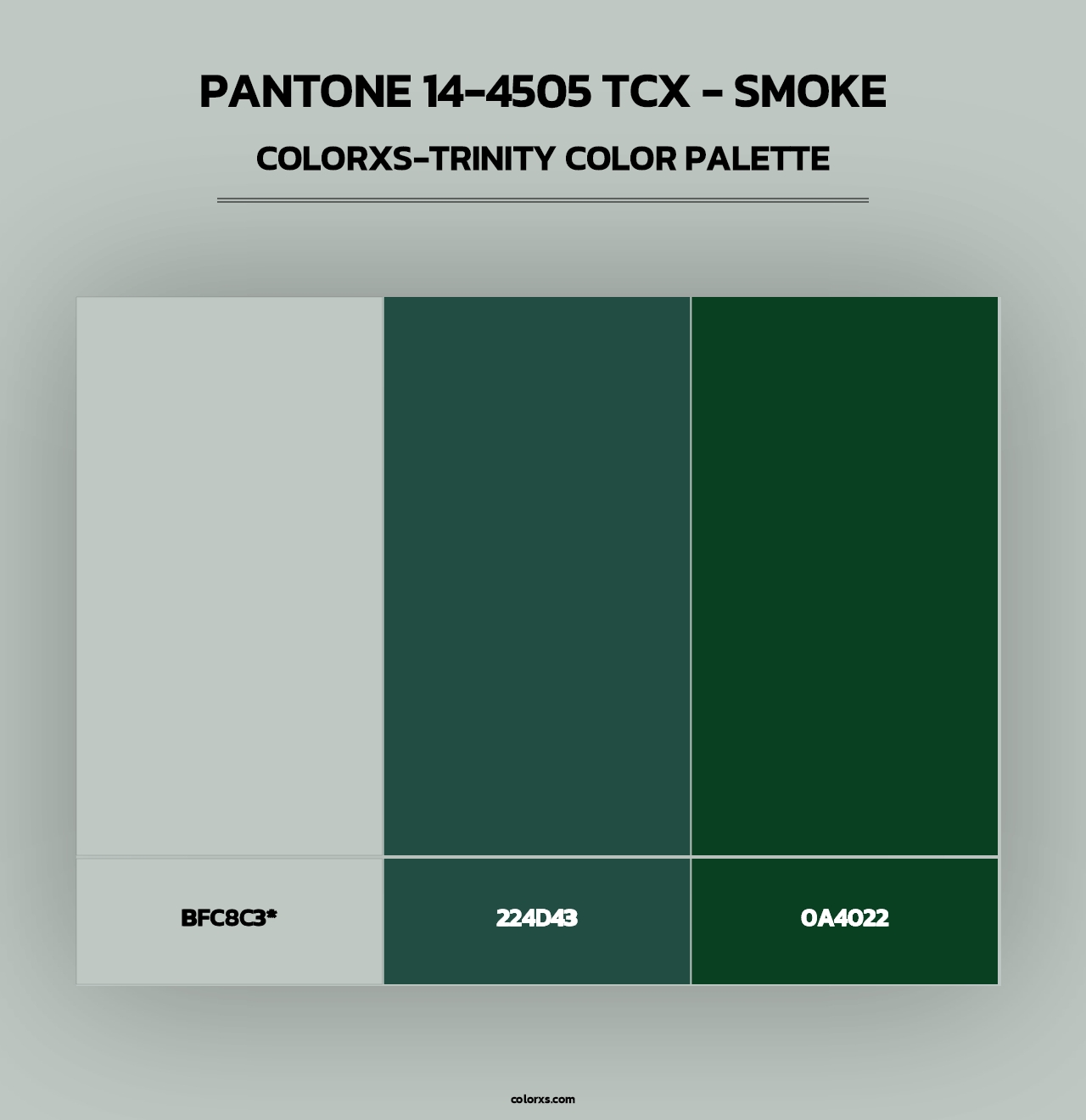 PANTONE 14-4505 TCX - Smoke - Colorxs Trinity Palette