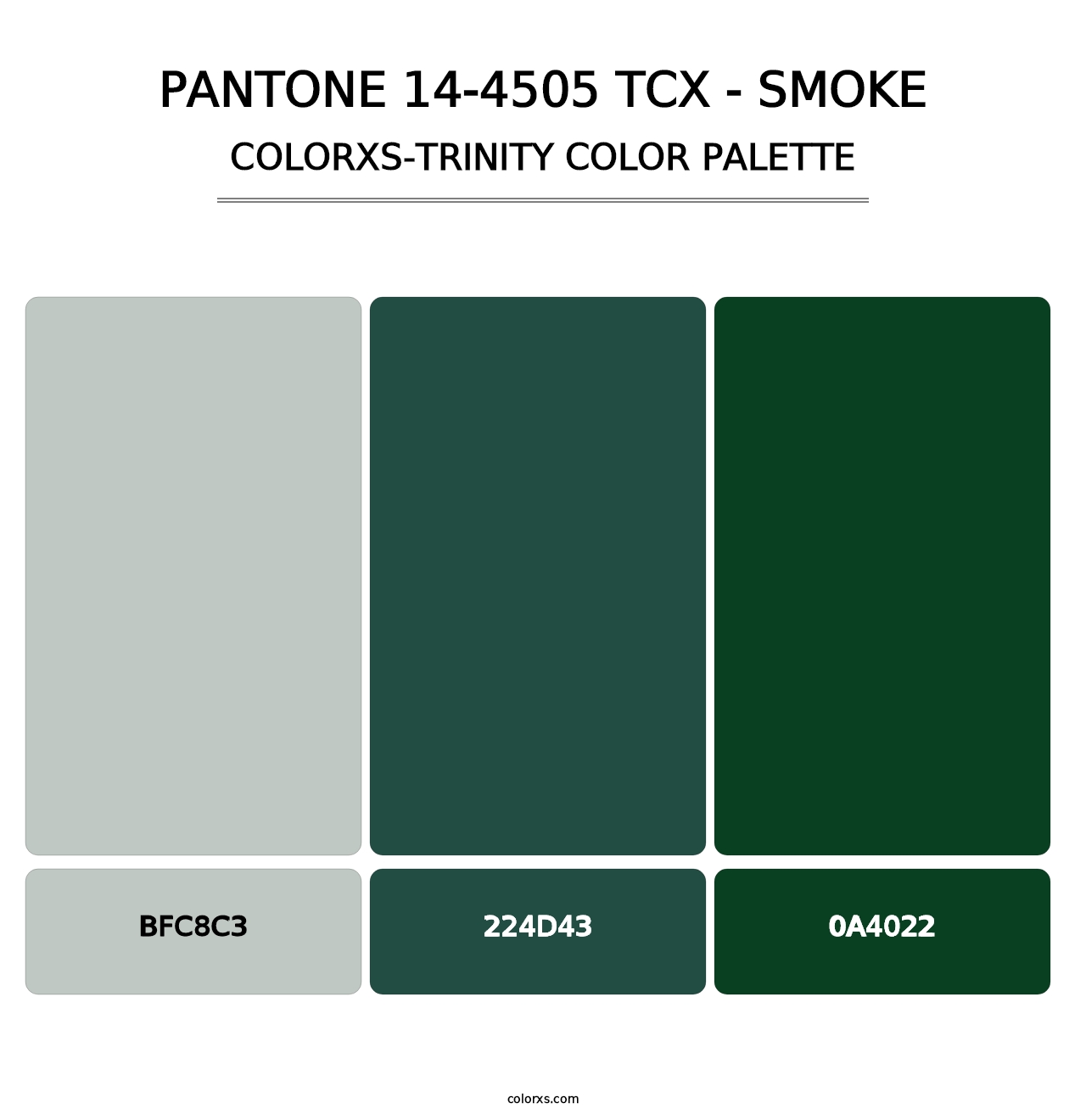 PANTONE 14-4505 TCX - Smoke - Colorxs Trinity Palette