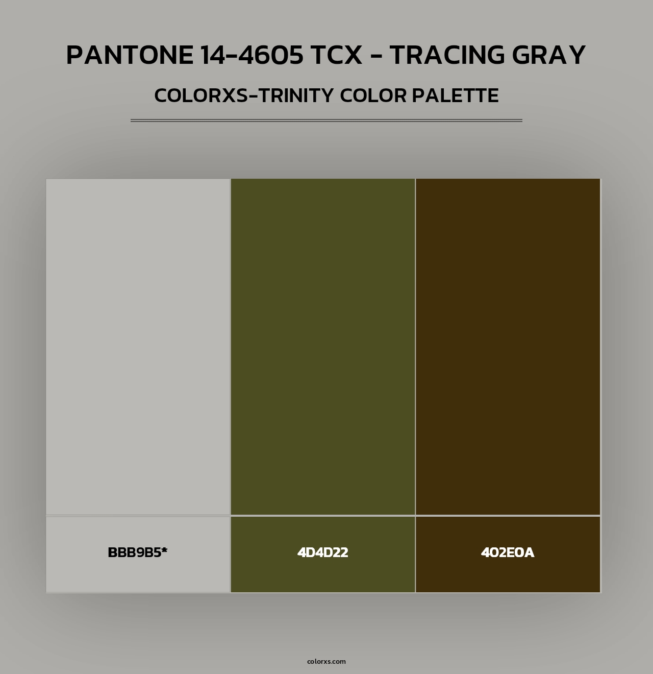 PANTONE 14-4605 TCX - Tracing Gray - Colorxs Trinity Palette