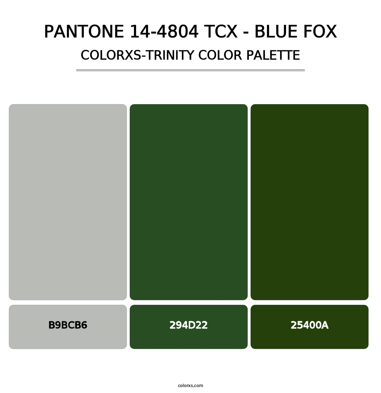 PANTONE 14-4804 TCX - Blue Fox - Colorxs Trinity Palette