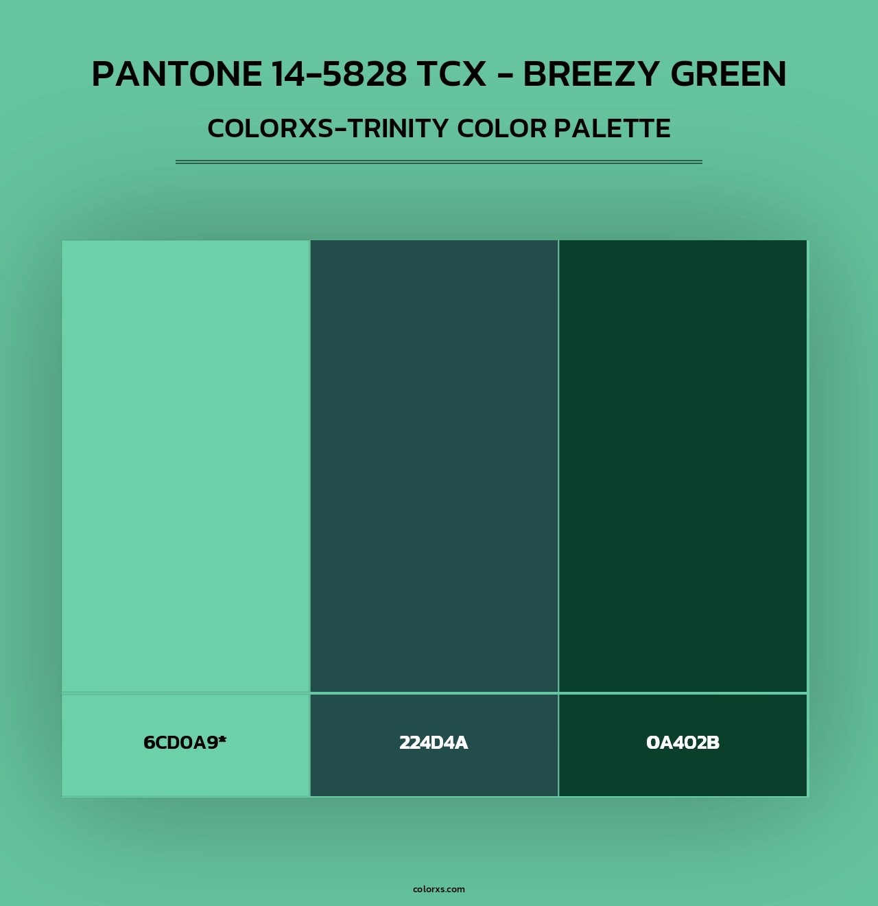 Pantone 14-5828 TCX - Breezy Green - Colorxs Trinity Palette