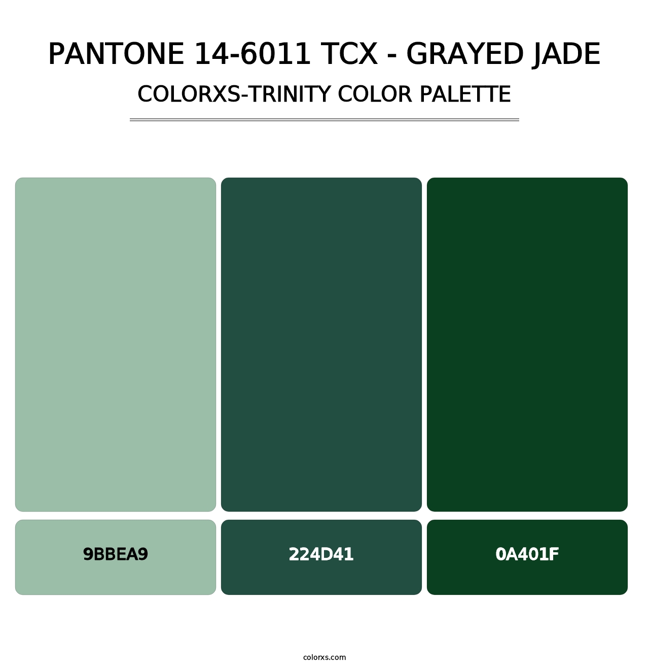 PANTONE 14-6011 TCX - Grayed Jade - Colorxs Trinity Palette