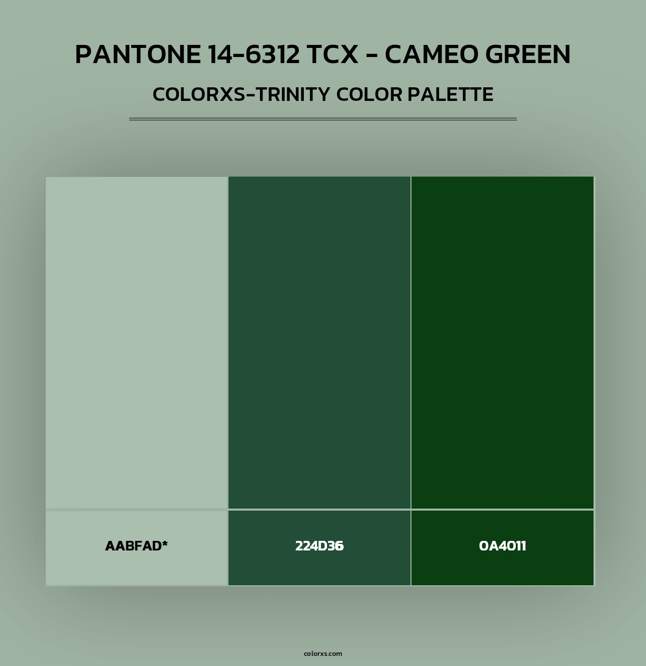 PANTONE 14-6312 TCX - Cameo Green - Colorxs Trinity Palette