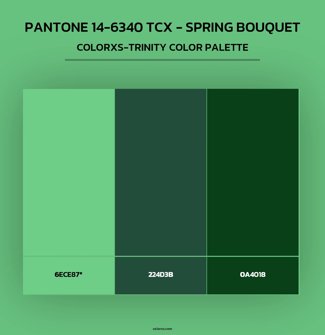 PANTONE 14-6340 TCX - Spring Bouquet - Colorxs Trinity Palette