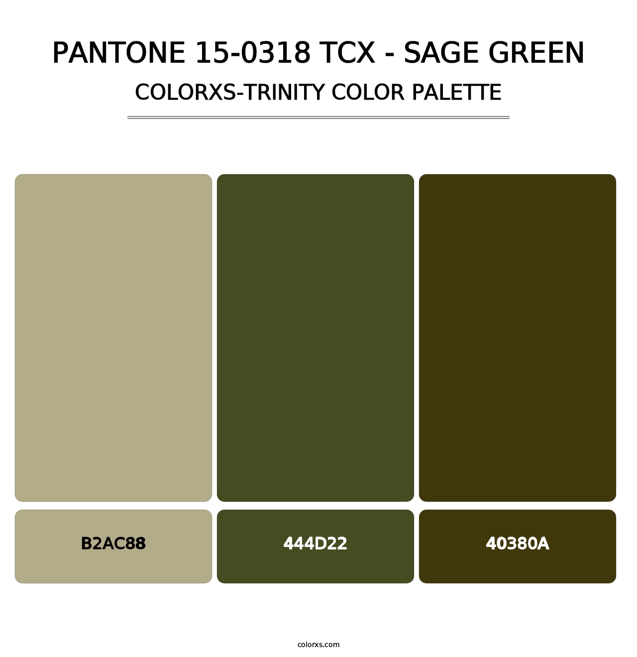 PANTONE 15-0318 TCX - Sage Green - Colorxs Trinity Palette