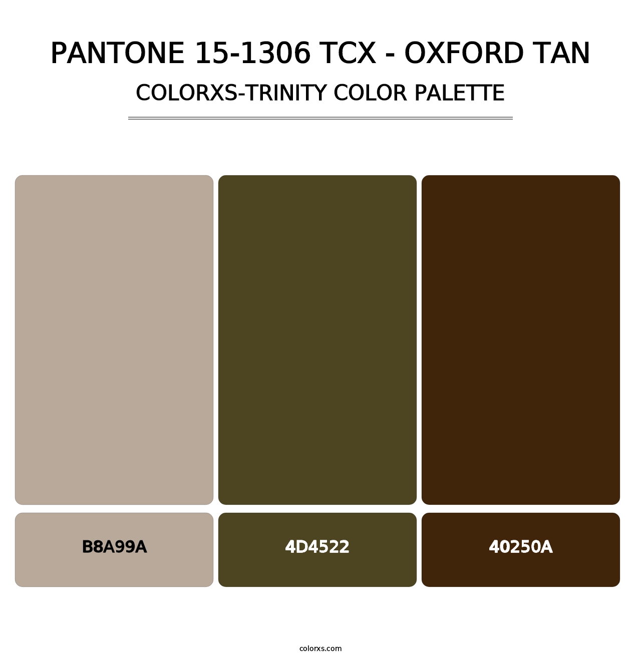 PANTONE 15-1306 TCX - Oxford Tan - Colorxs Trinity Palette