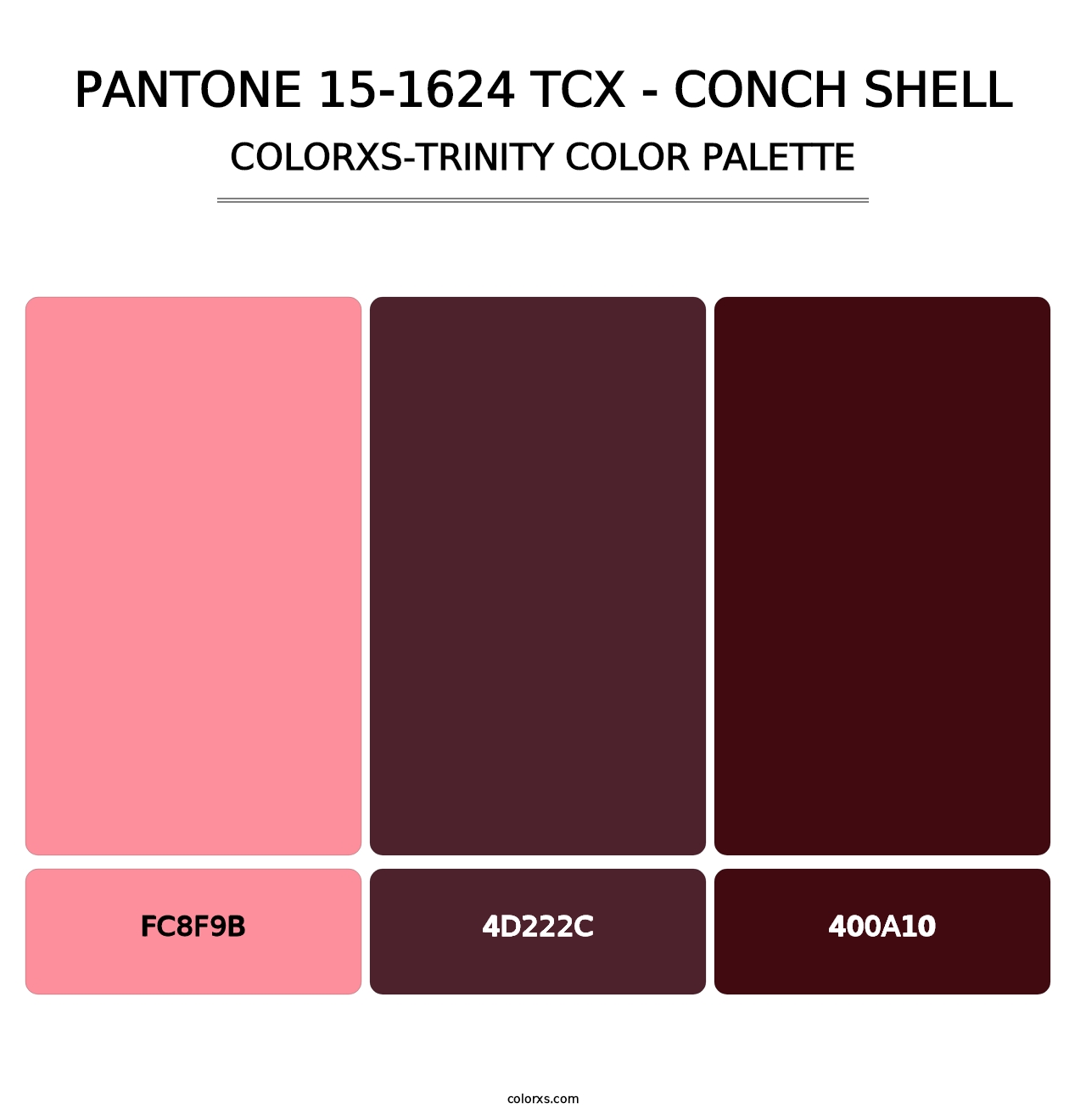 PANTONE 15-1624 TCX - Conch Shell - Colorxs Trinity Palette