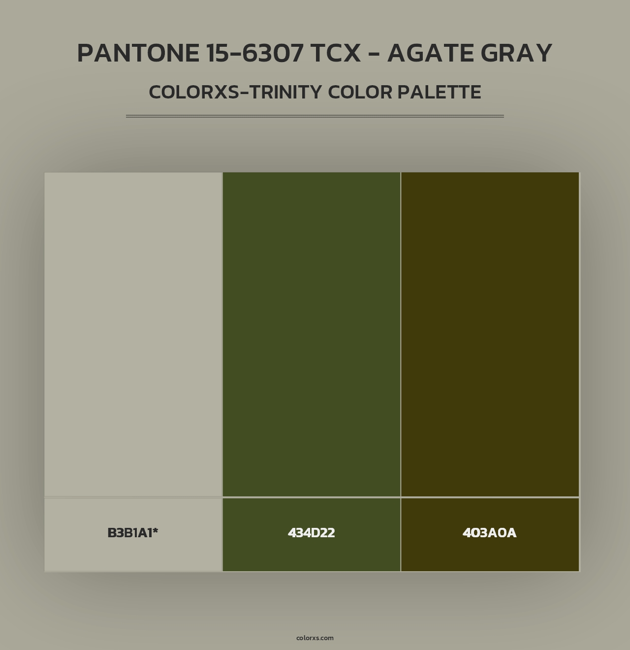 PANTONE 15-6307 TCX - Agate Gray - Colorxs Trinity Palette