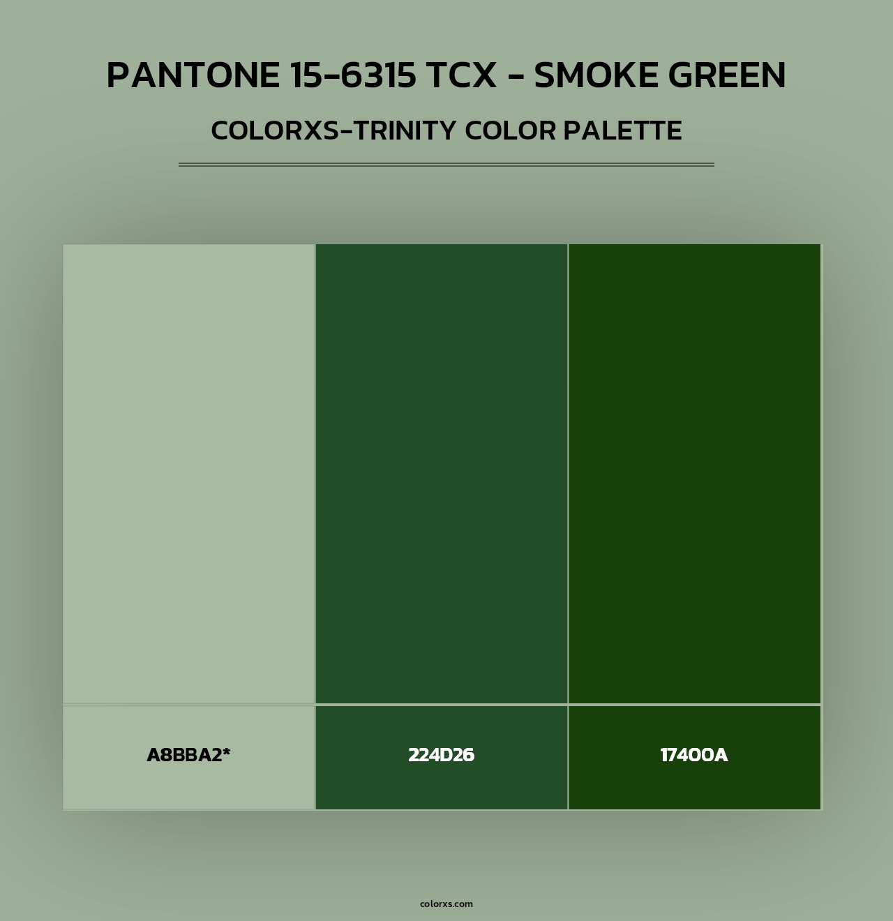 PANTONE 15-6315 TCX - Smoke Green - Colorxs Trinity Palette