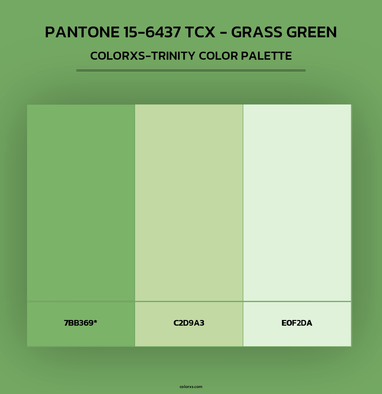 PANTONE 15-6437 TCX - Grass Green - Colorxs Trinity Palette