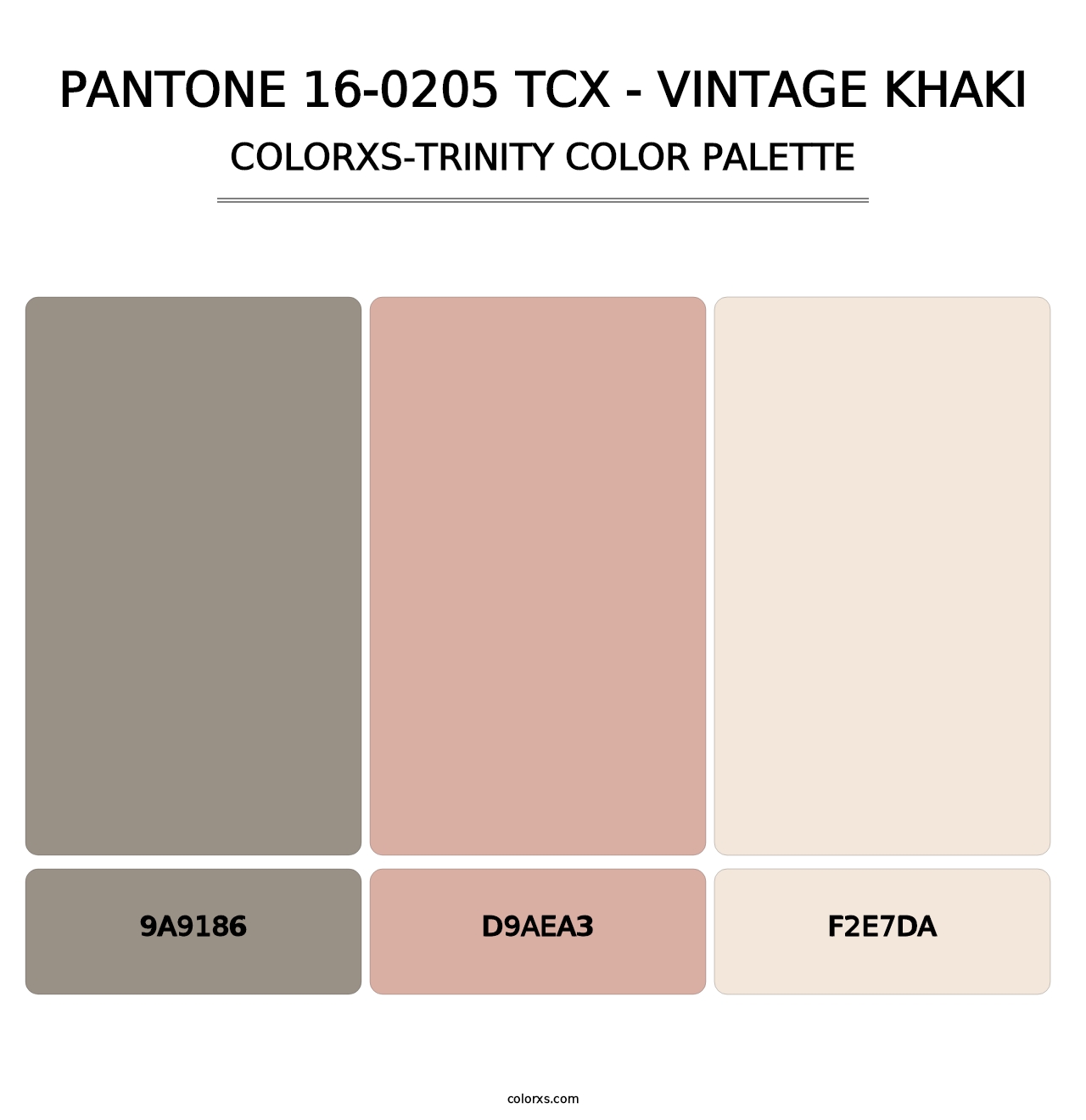 PANTONE 16-0205 TCX - Vintage Khaki - Colorxs Trinity Palette