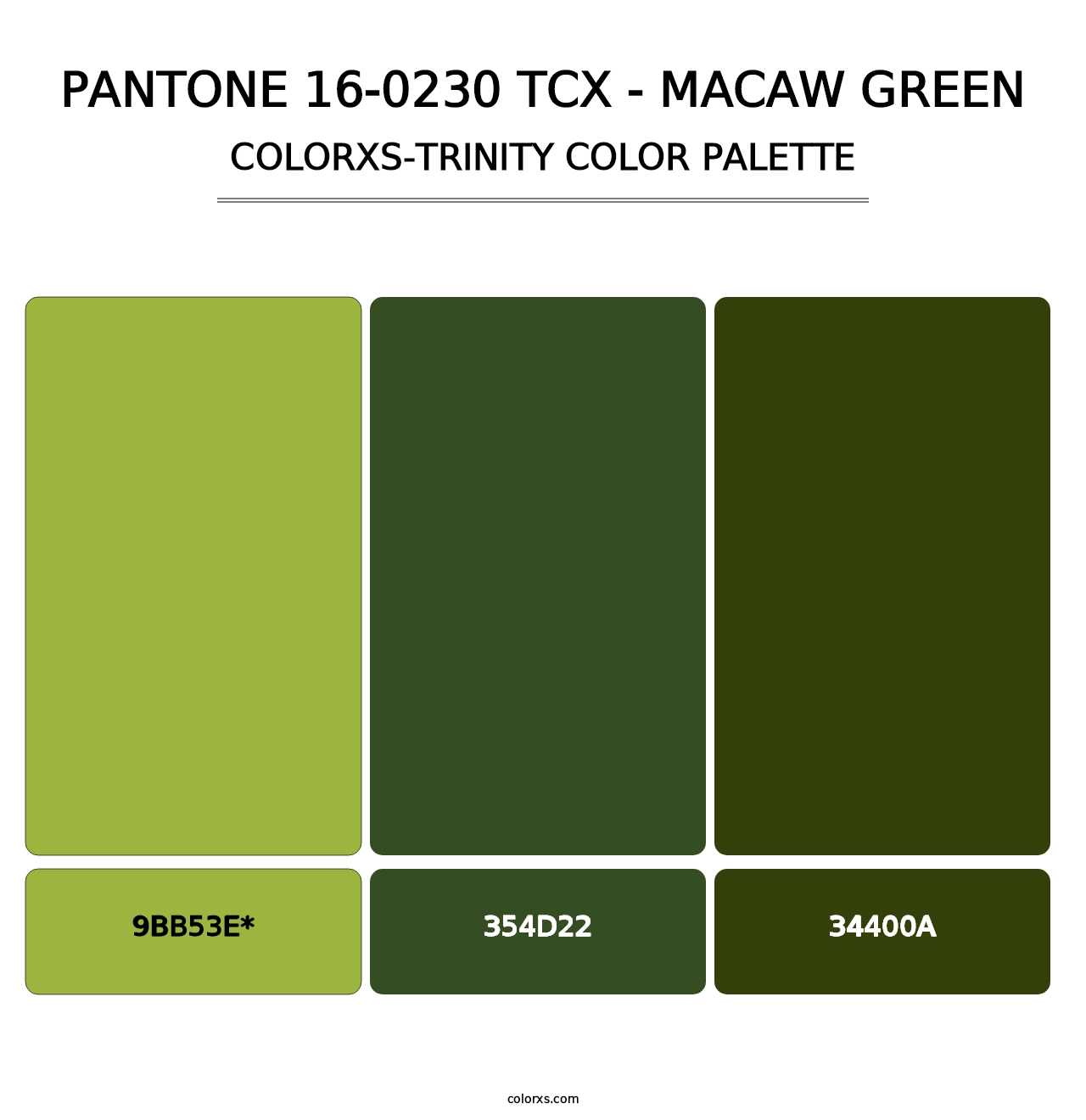 PANTONE 16-0230 TCX - Macaw Green - Colorxs Trinity Palette