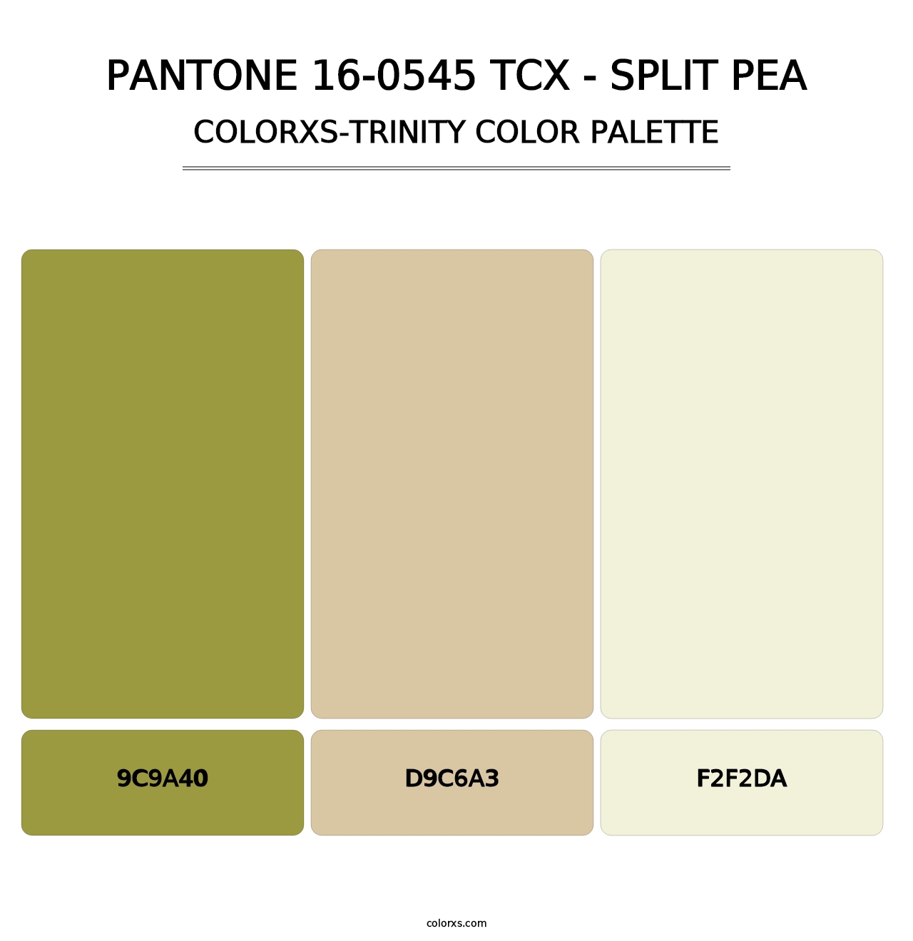 PANTONE 16-0545 TCX - Split Pea - Colorxs Trinity Palette
