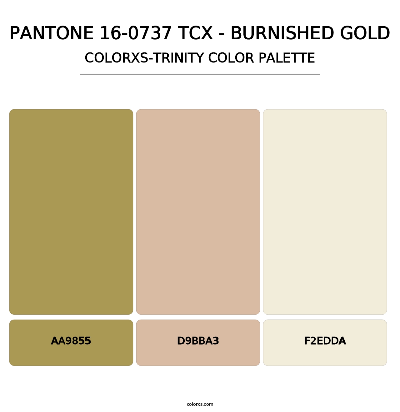 PANTONE 16-0737 TCX - Burnished Gold - Colorxs Trinity Palette