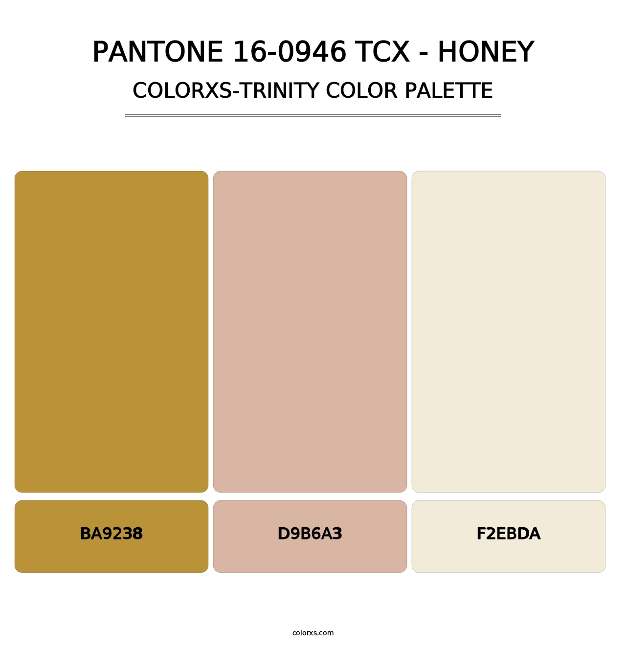 PANTONE 16-0946 TCX - Honey - Colorxs Trinity Palette