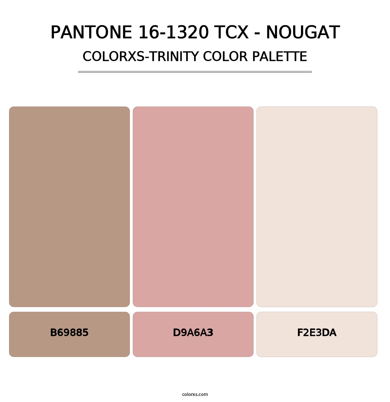 PANTONE 16-1320 TCX - Nougat - Colorxs Trinity Palette