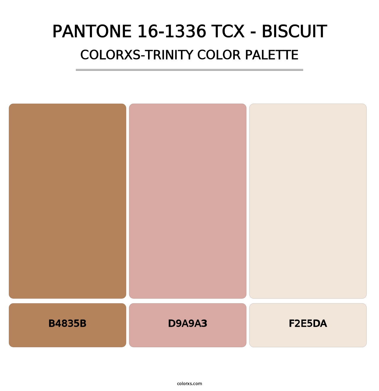 PANTONE 16-1336 TCX - Biscuit - Colorxs Trinity Palette