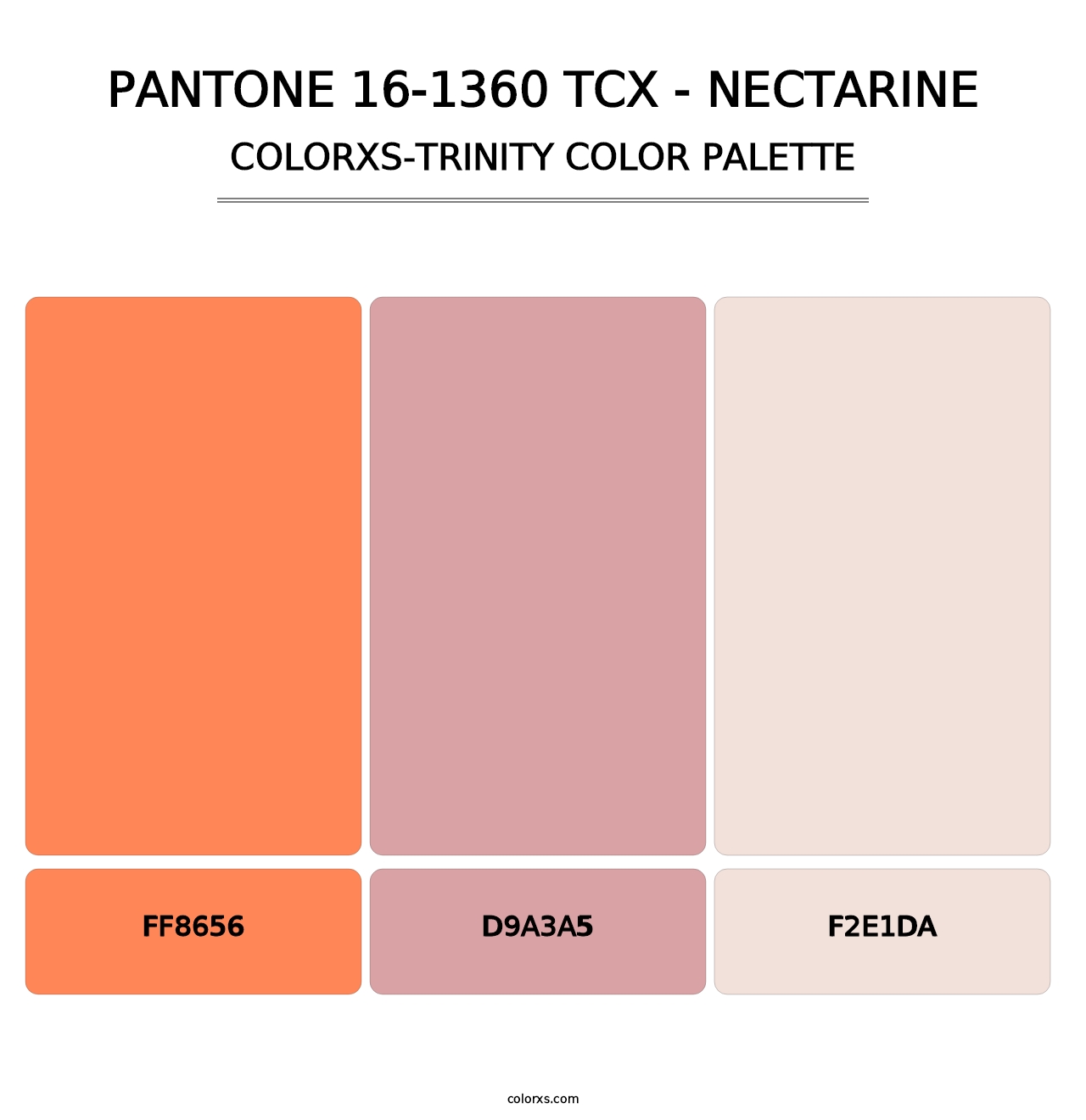 PANTONE 16-1360 TCX - Nectarine - Colorxs Trinity Palette