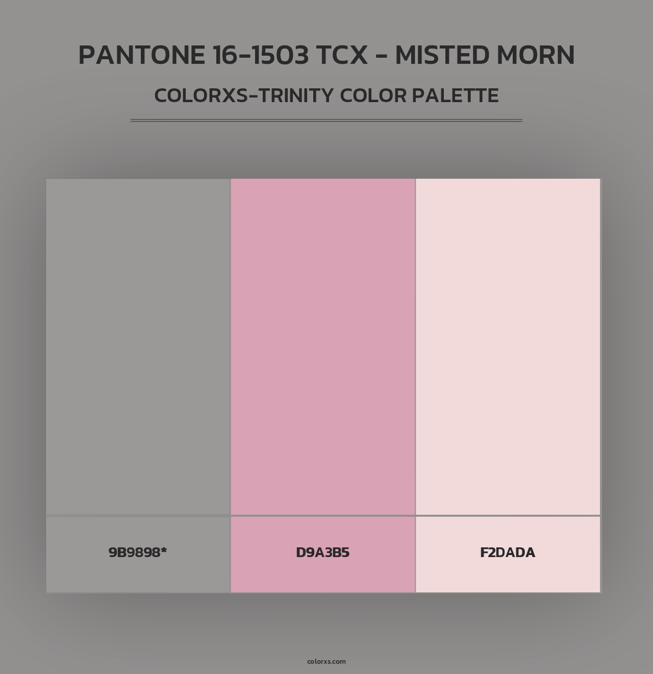 PANTONE 16-1503 TCX - Misted Morn - Colorxs Trinity Palette