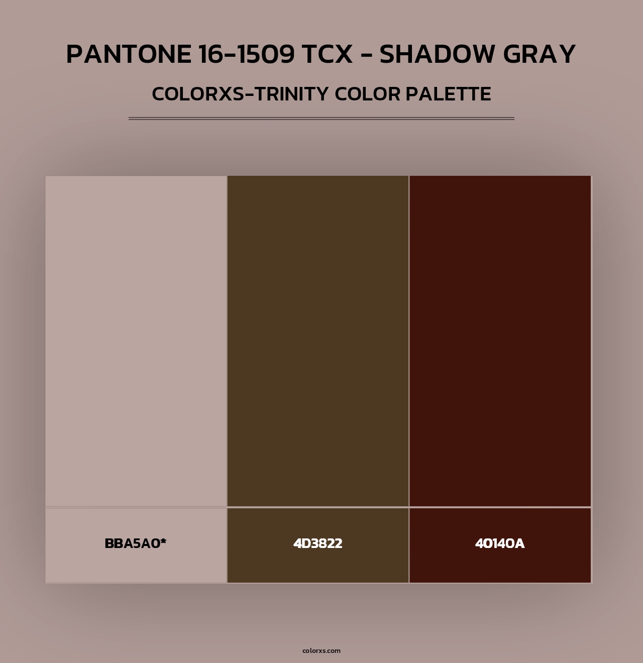 PANTONE 16-1509 TCX - Shadow Gray - Colorxs Trinity Palette