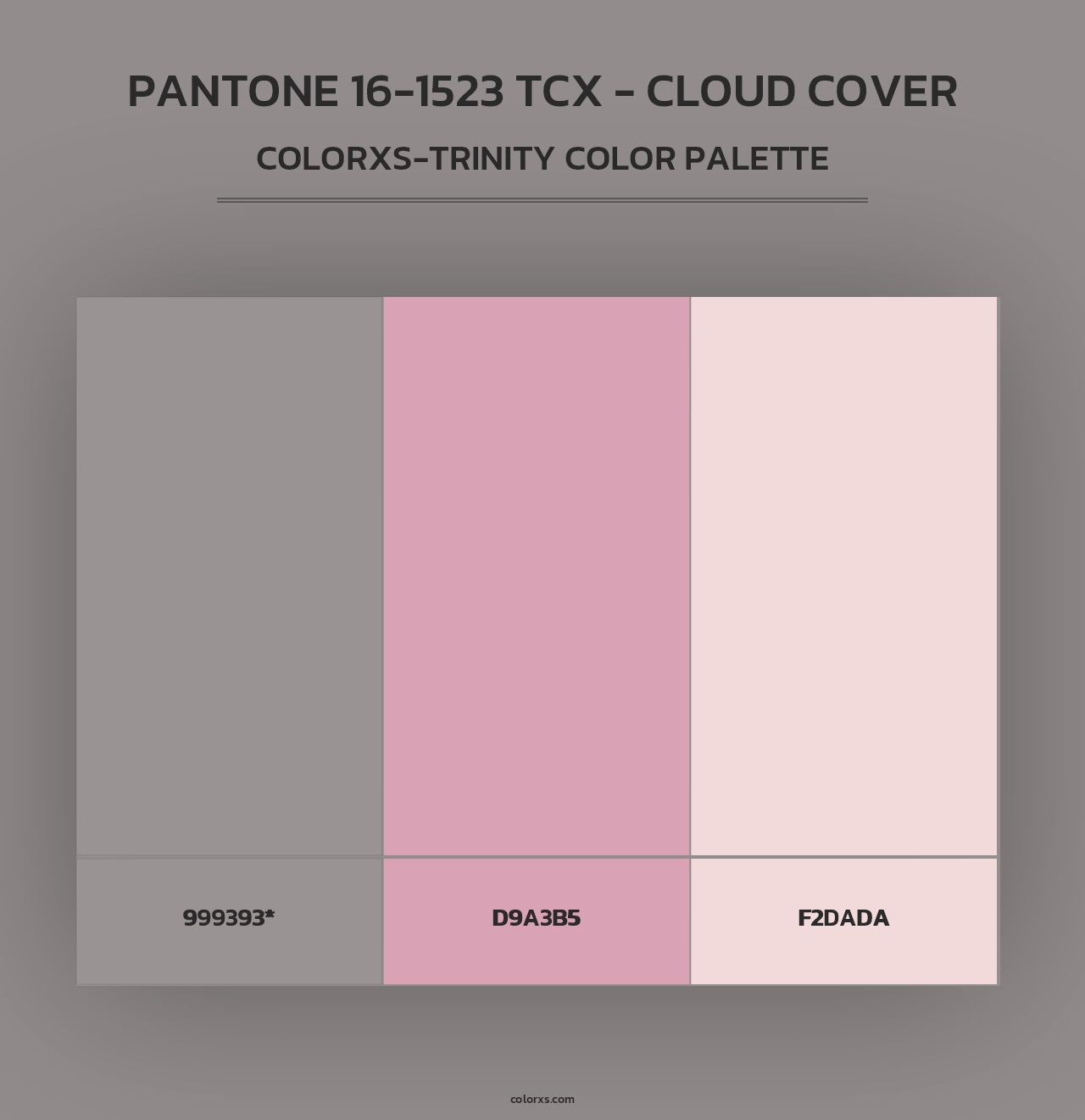 PANTONE 16-1523 TCX - Cloud Cover - Colorxs Trinity Palette