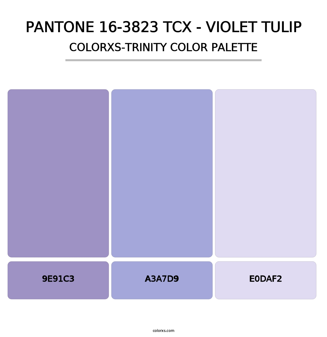 PANTONE 16-3823 TCX - Violet Tulip - Colorxs Trinity Palette