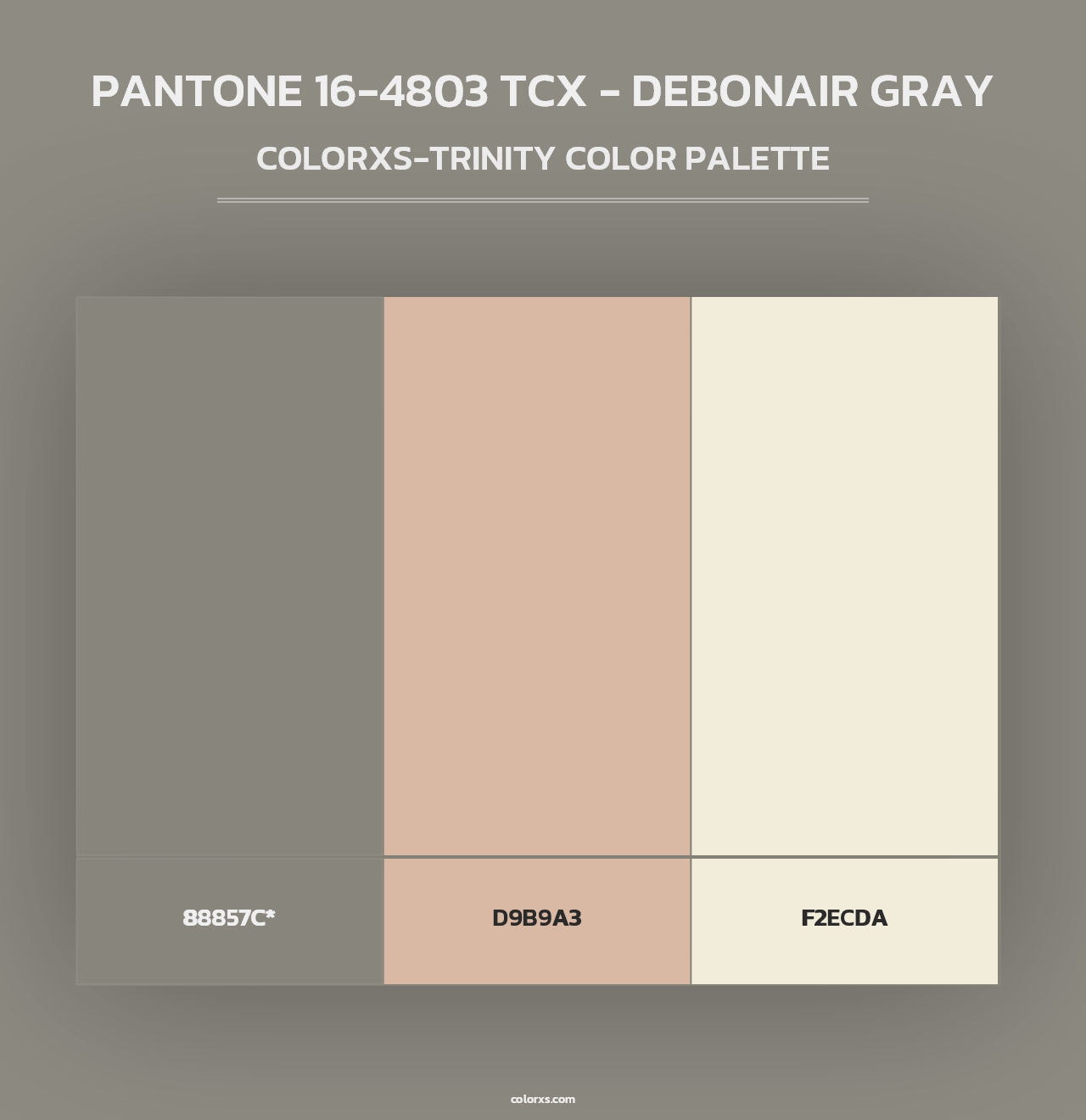 PANTONE 16-4803 TCX - Debonair Gray - Colorxs Trinity Palette