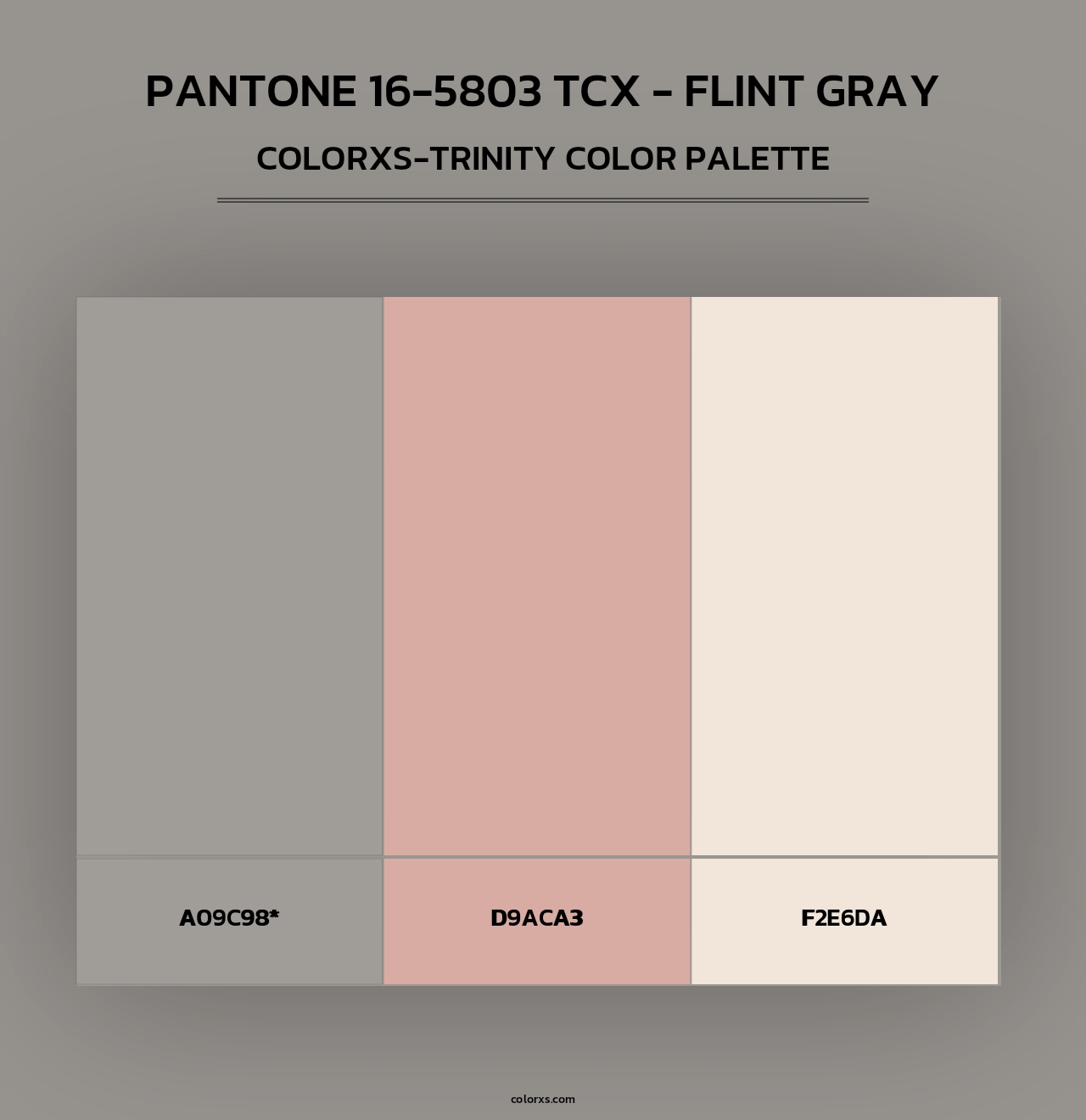 PANTONE 16-5803 TCX - Flint Gray - Colorxs Trinity Palette