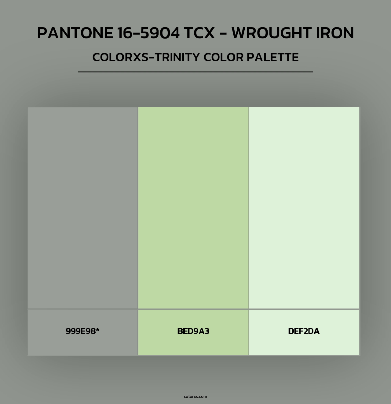 PANTONE 16-5904 TCX - Wrought Iron - Colorxs Trinity Palette