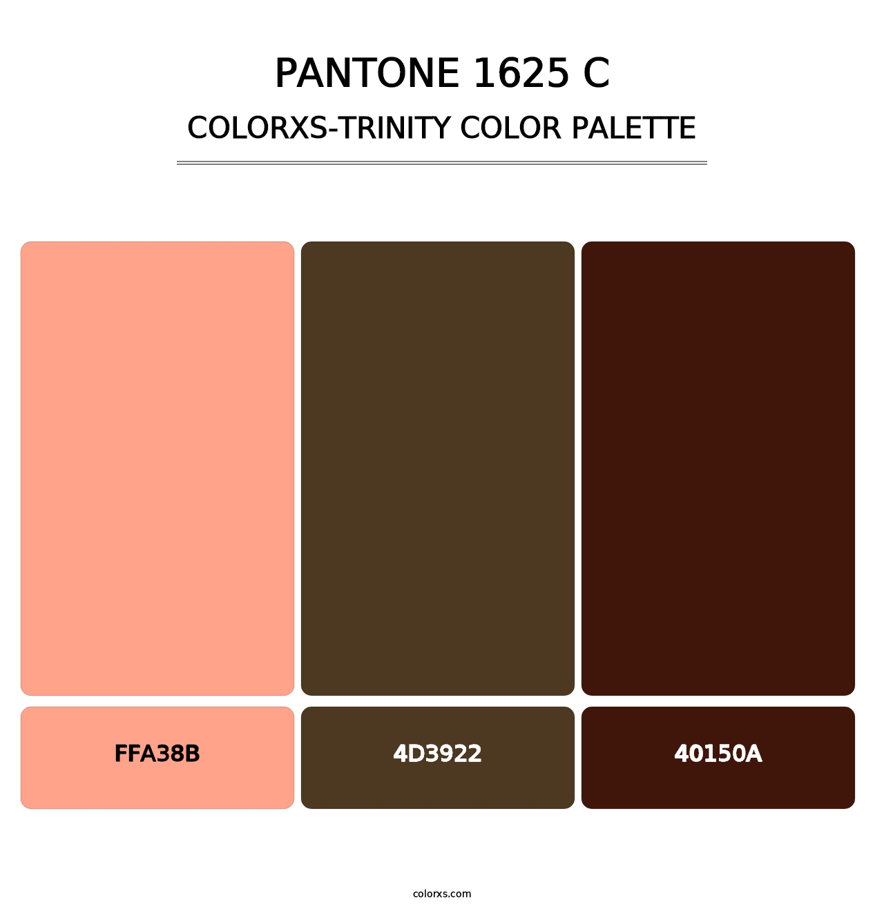 PANTONE 1625 C - Colorxs Trinity Palette