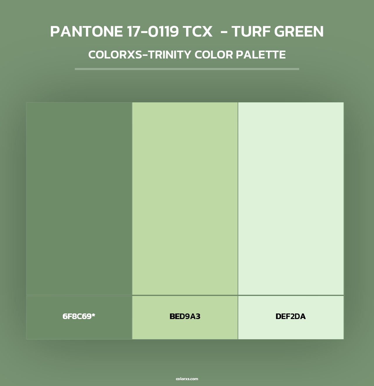 PANTONE 17-0119 TCX  - Turf Green - Colorxs Trinity Palette
