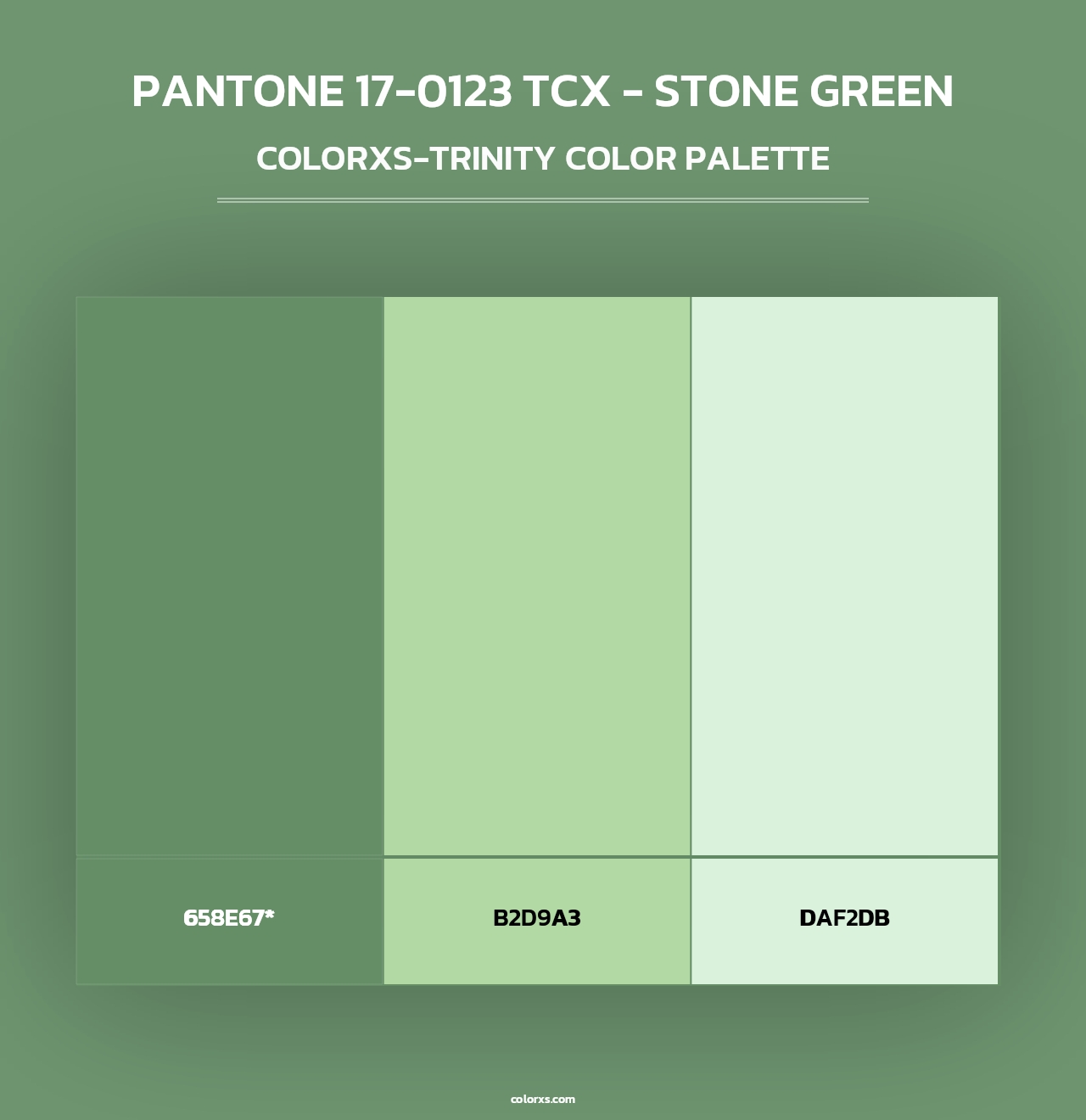 PANTONE 17-0123 TCX - Stone Green - Colorxs Trinity Palette