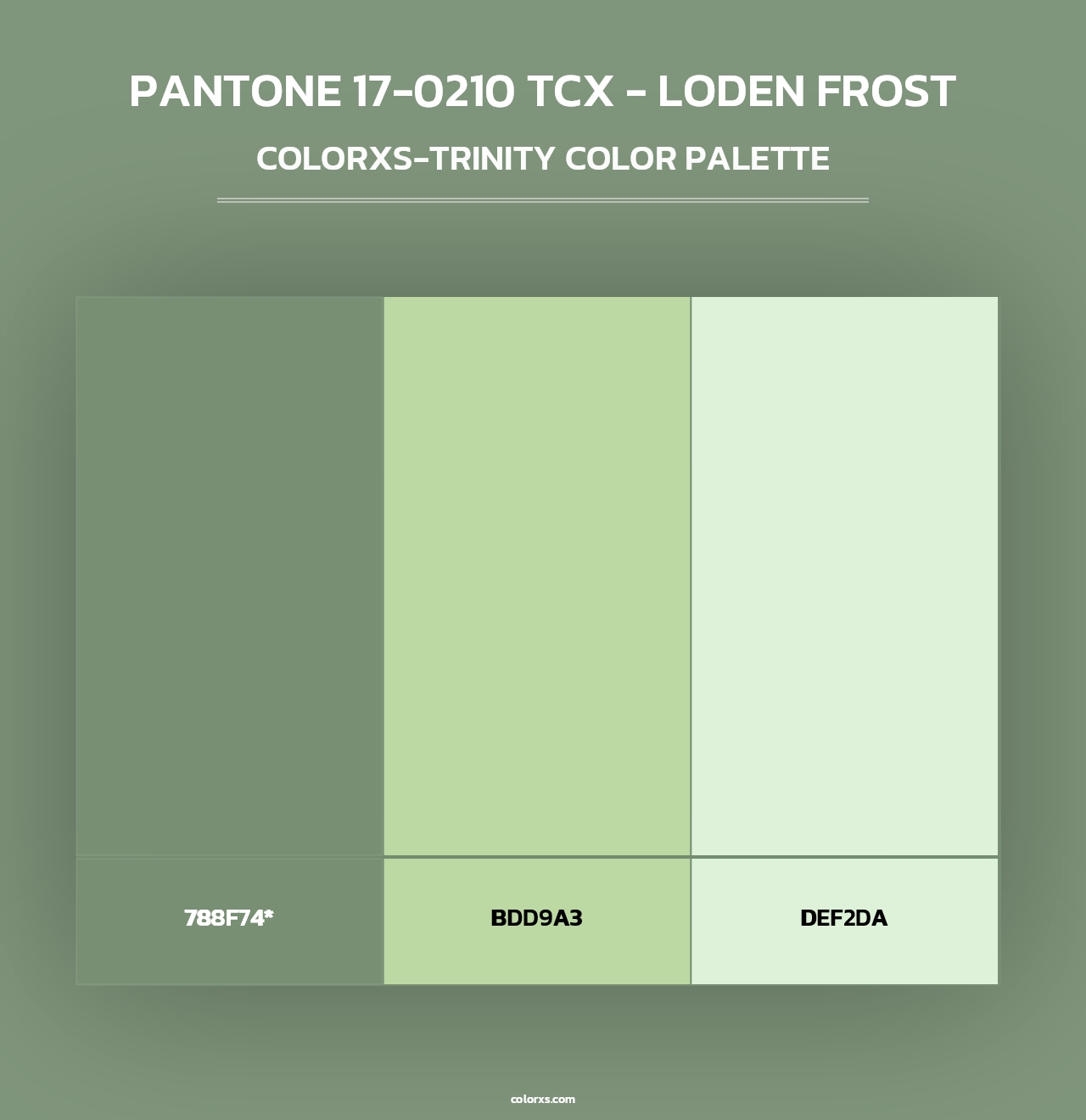 PANTONE 17-0210 TCX - Loden Frost - Colorxs Trinity Palette