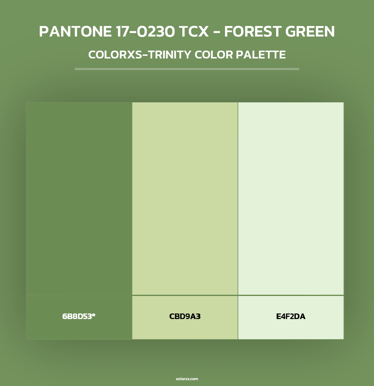 PANTONE 17-0230 TCX - Forest Green - Colorxs Trinity Palette