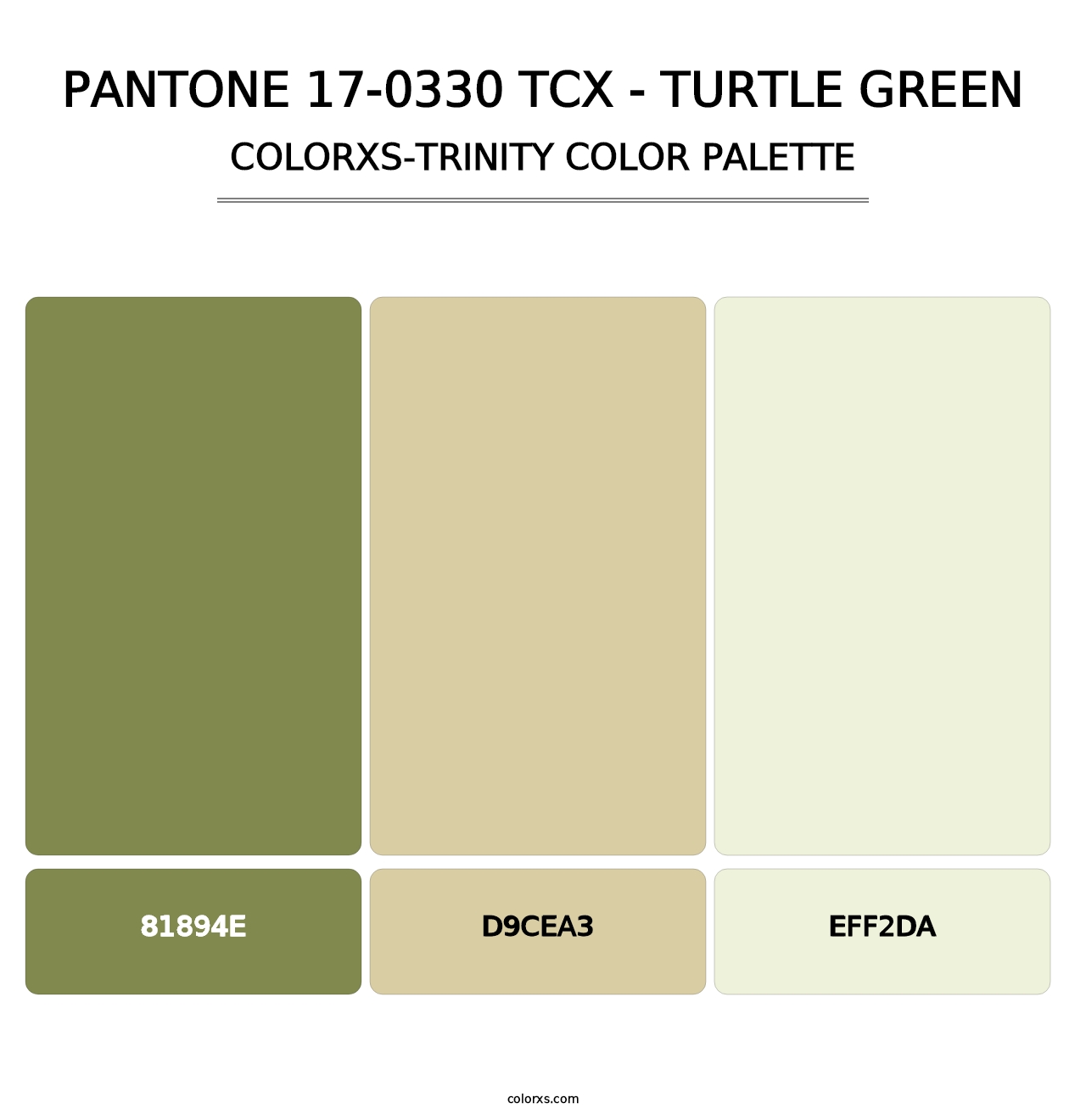 PANTONE 17-0330 TCX - Turtle Green - Colorxs Trinity Palette