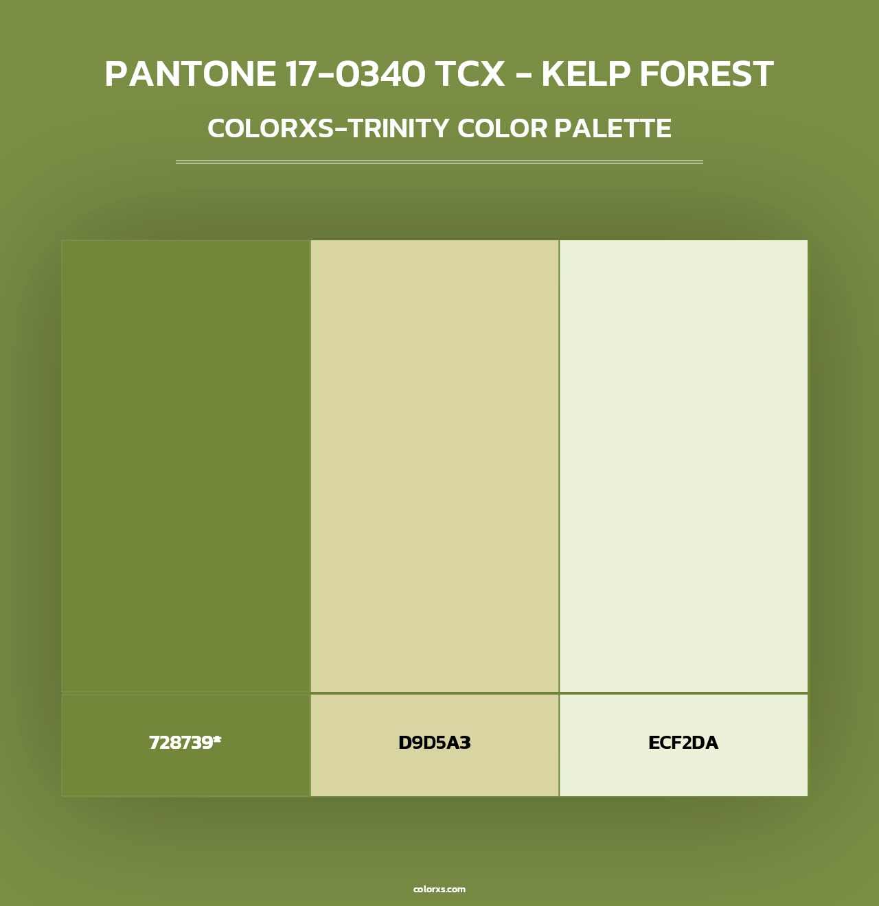 PANTONE 17-0340 TCX - Kelp Forest - Colorxs Trinity Palette