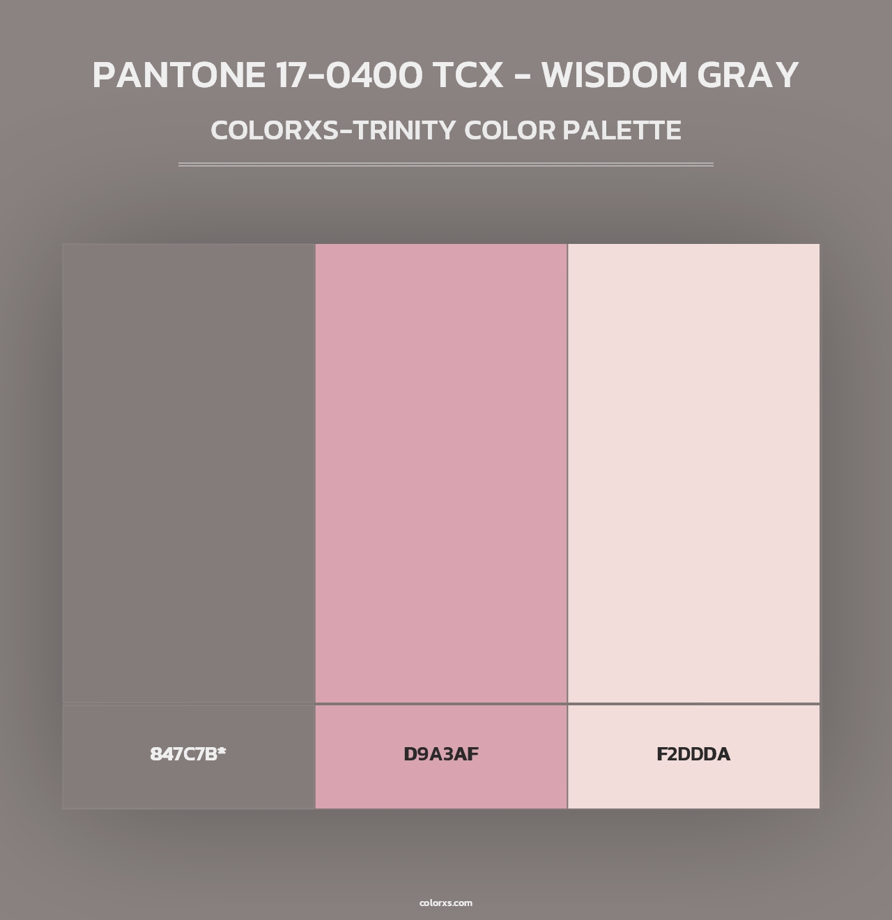 PANTONE 17-0400 TCX - Wisdom Gray - Colorxs Trinity Palette