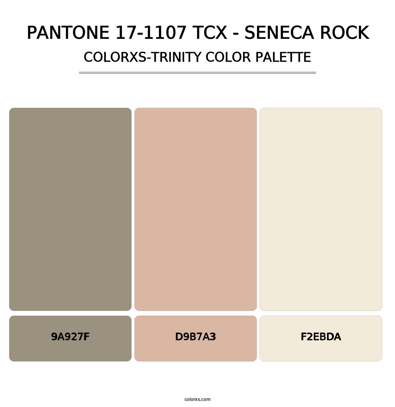 PANTONE 17-1107 TCX - Seneca Rock - Colorxs Trinity Palette