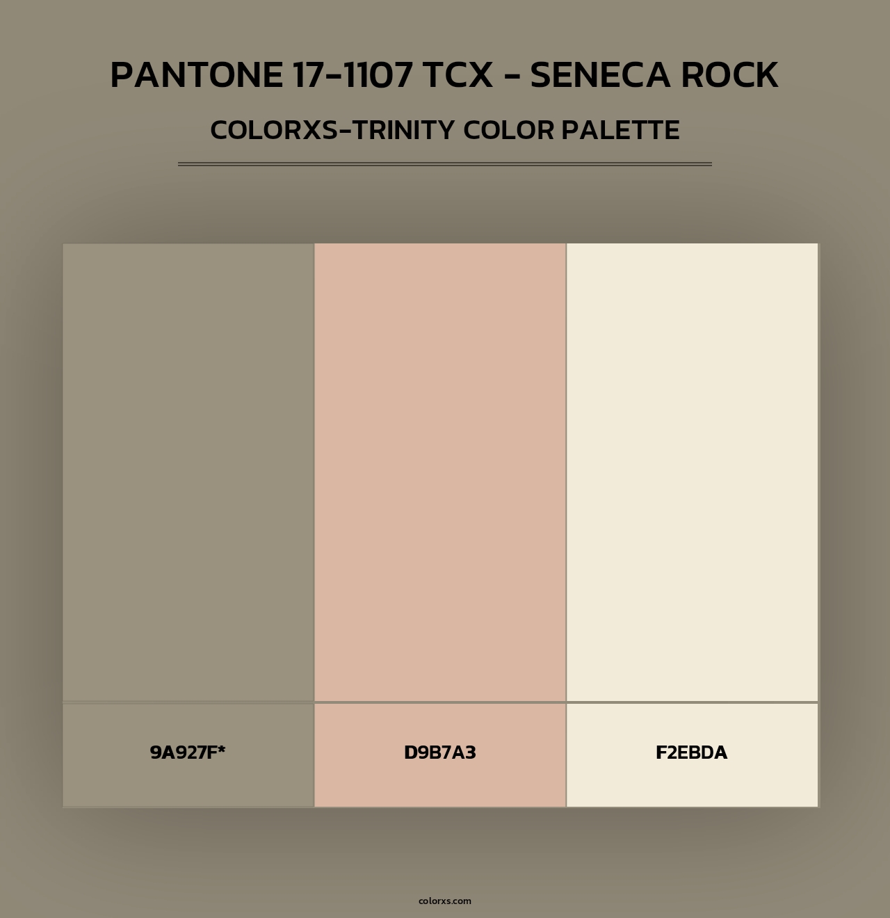 PANTONE 17-1107 TCX - Seneca Rock - Colorxs Trinity Palette