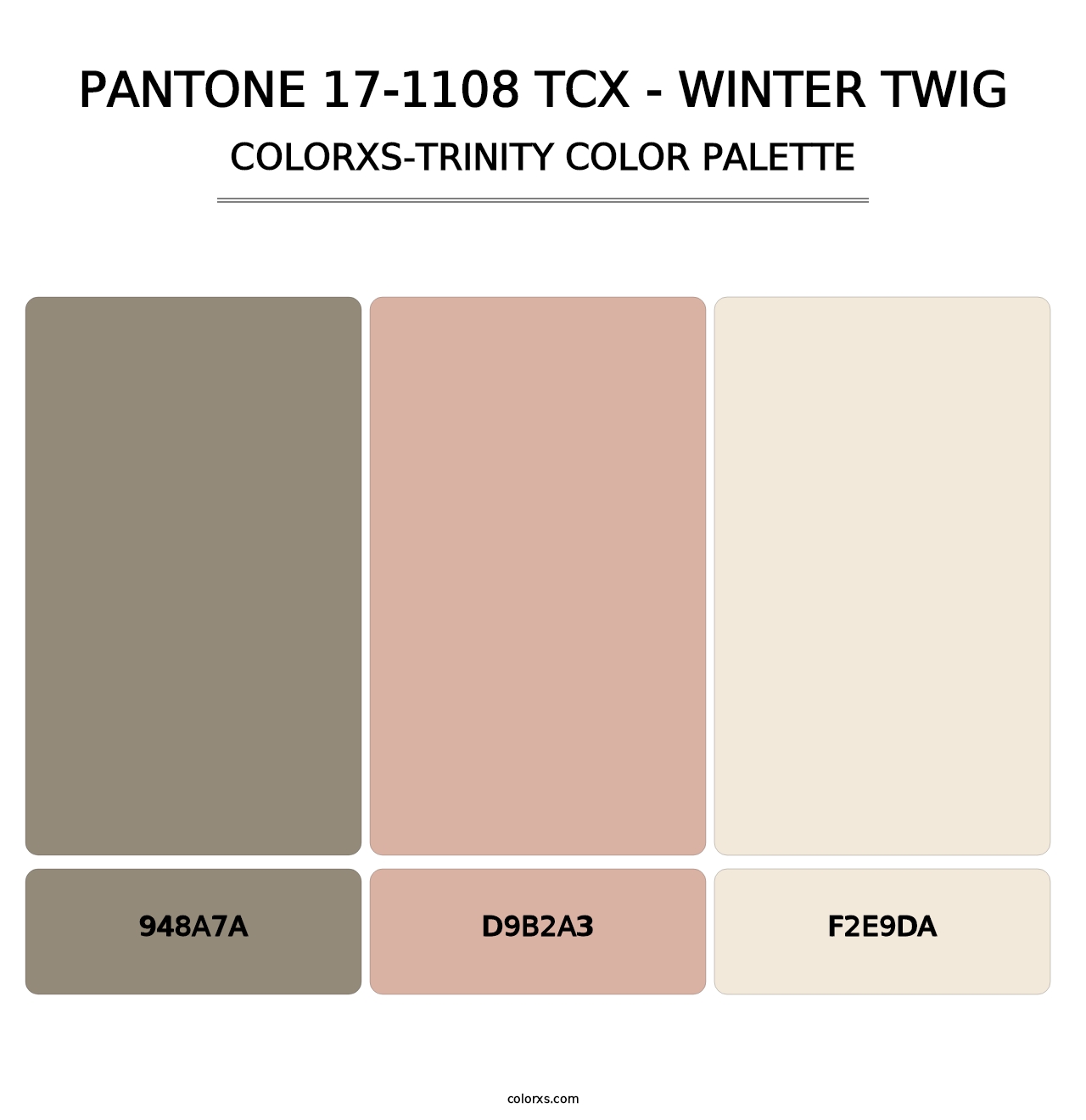 PANTONE 17-1108 TCX - Winter Twig - Colorxs Trinity Palette