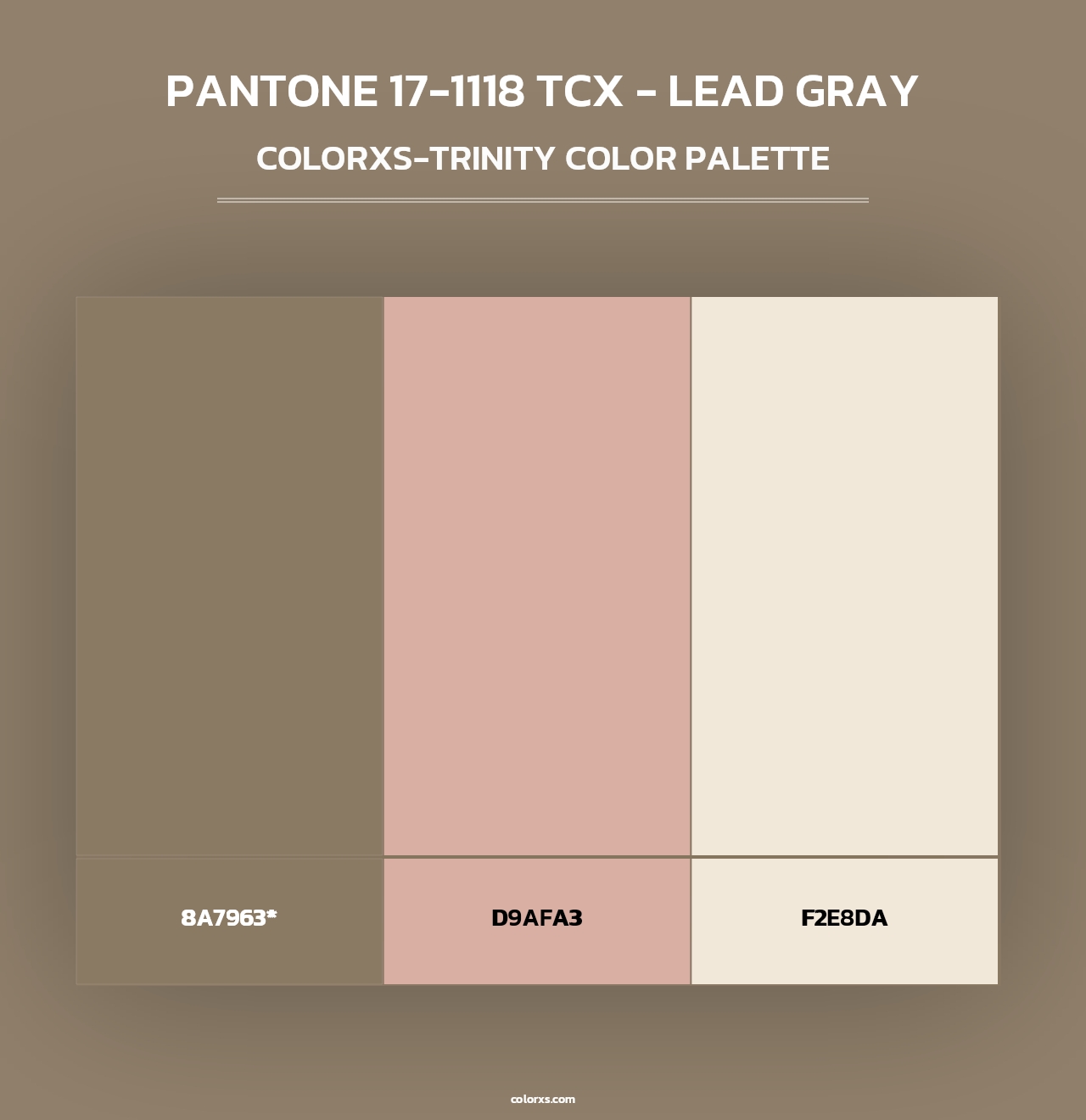PANTONE 17-1118 TCX - Lead Gray - Colorxs Trinity Palette