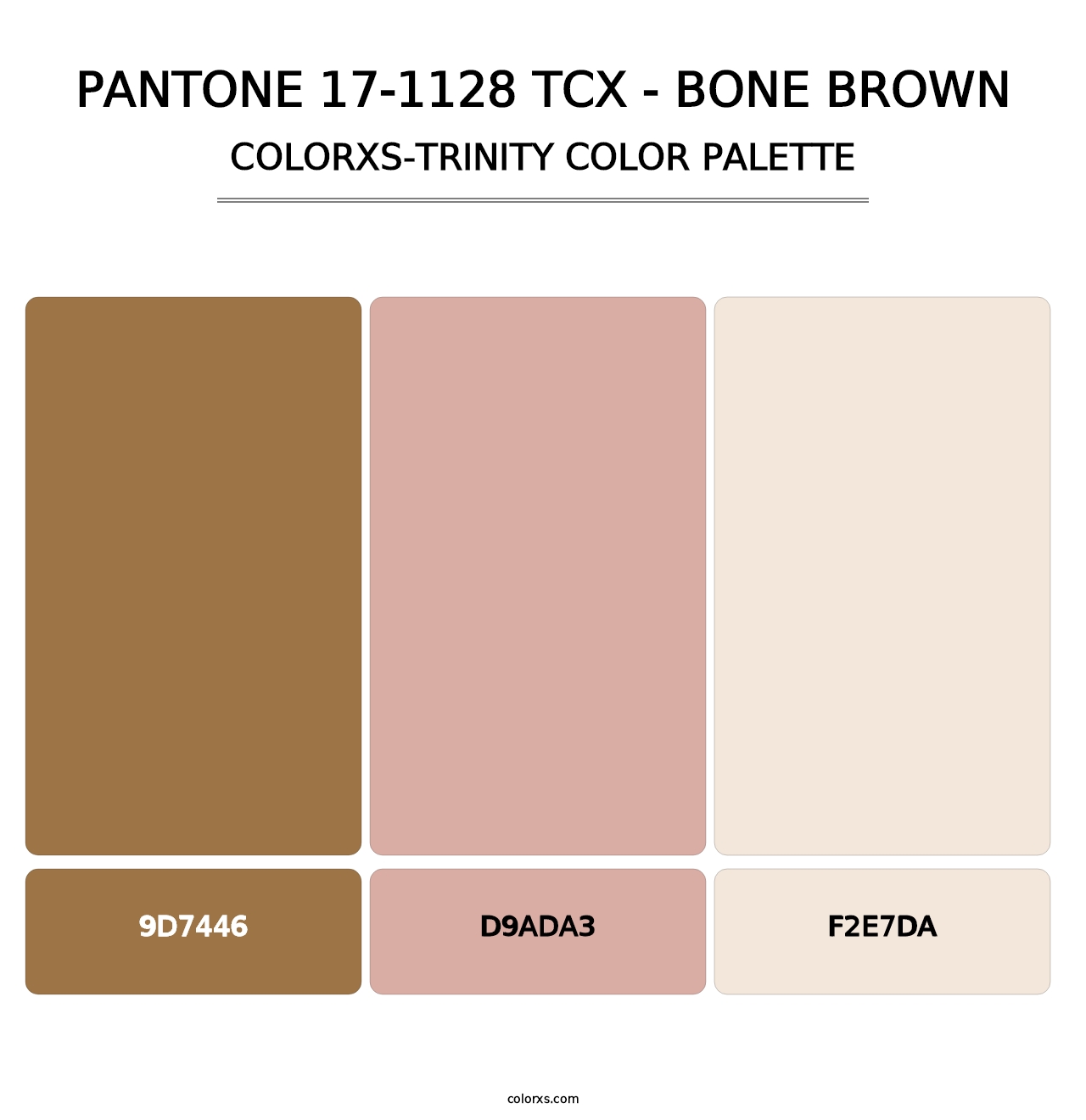 PANTONE 17-1128 TCX - Bone Brown - Colorxs Trinity Palette