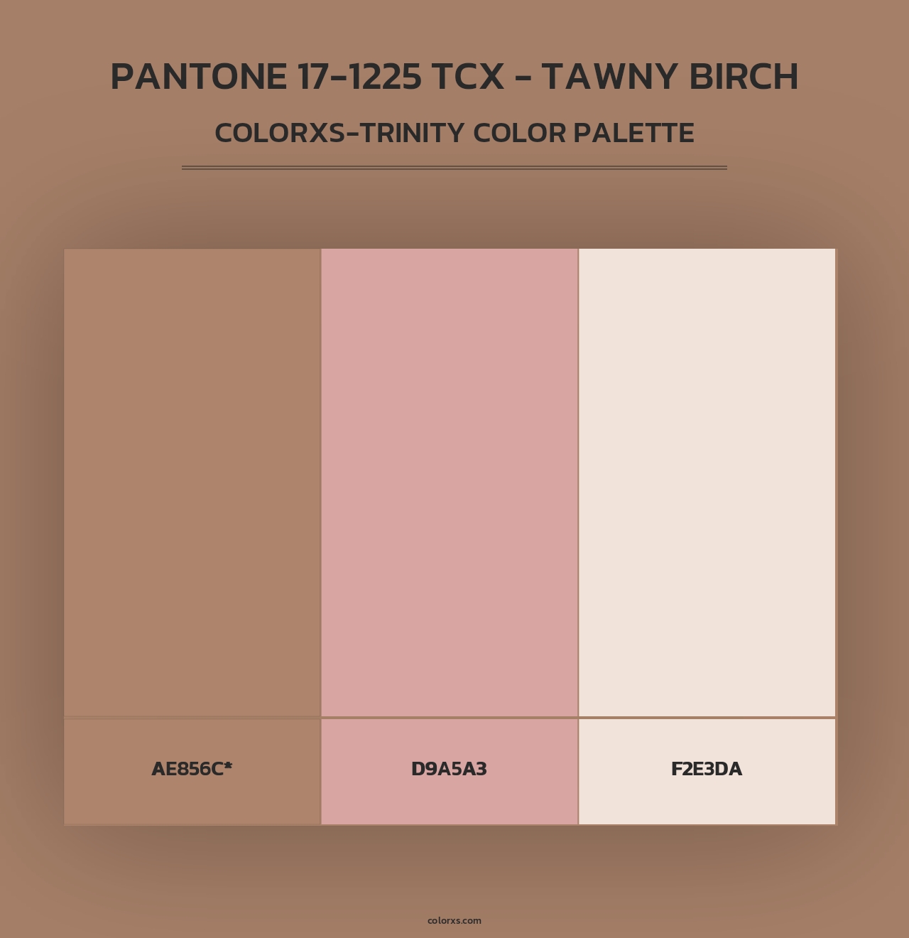 PANTONE 17-1225 TCX - Tawny Birch - Colorxs Trinity Palette