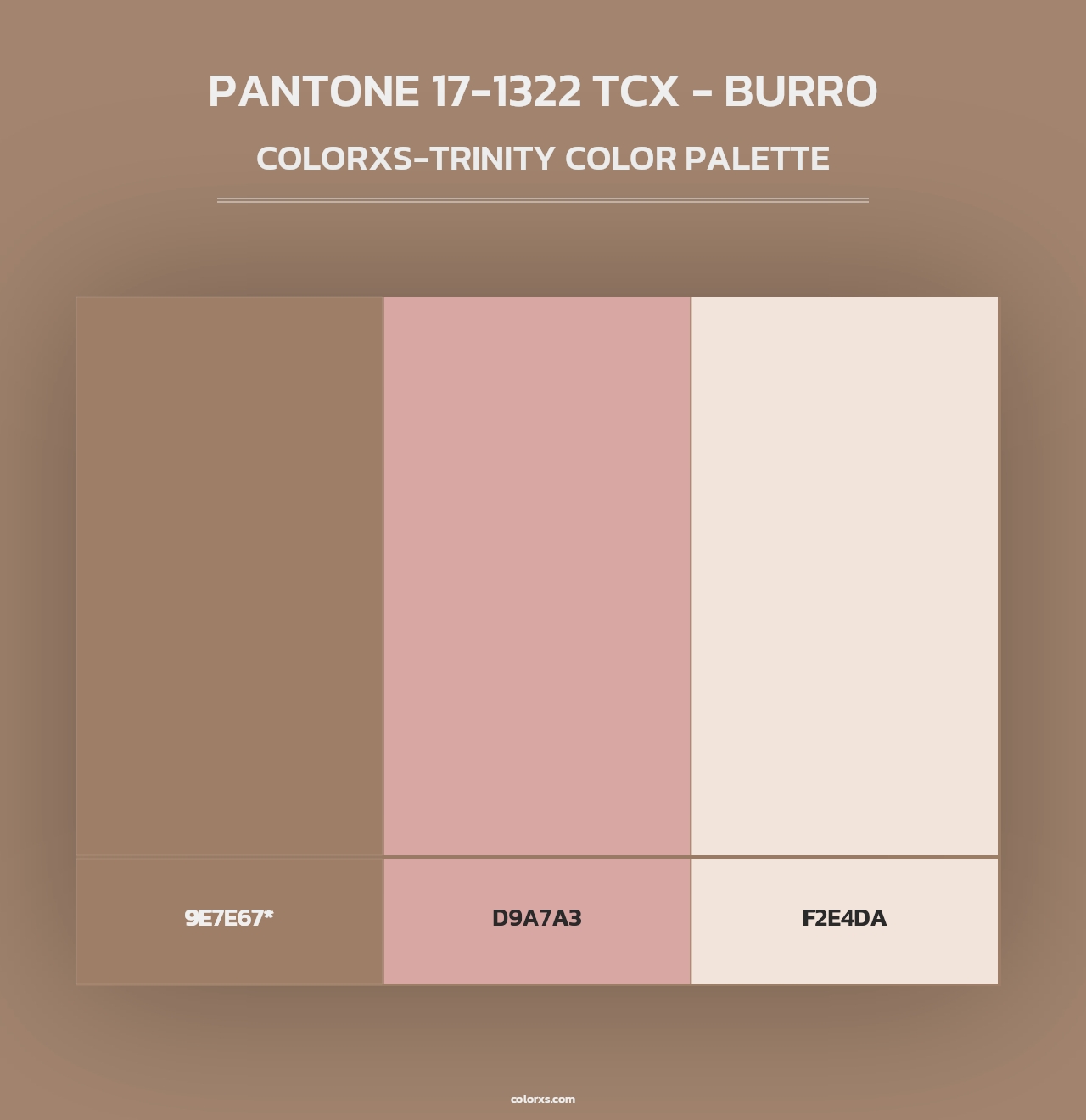 PANTONE 17-1322 TCX - Burro - Colorxs Trinity Palette