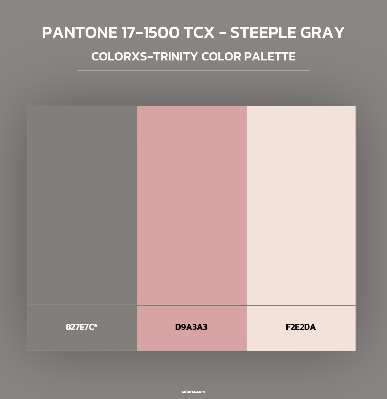 PANTONE 17-1500 TCX - Steeple Gray - Colorxs Trinity Palette