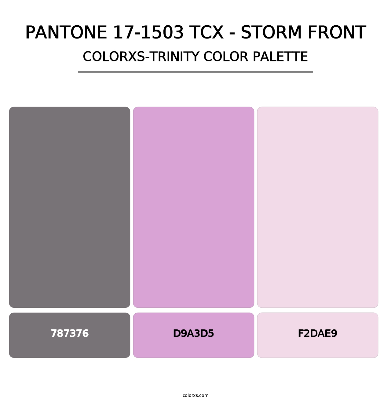 PANTONE 17-1503 TCX - Storm Front - Colorxs Trinity Palette