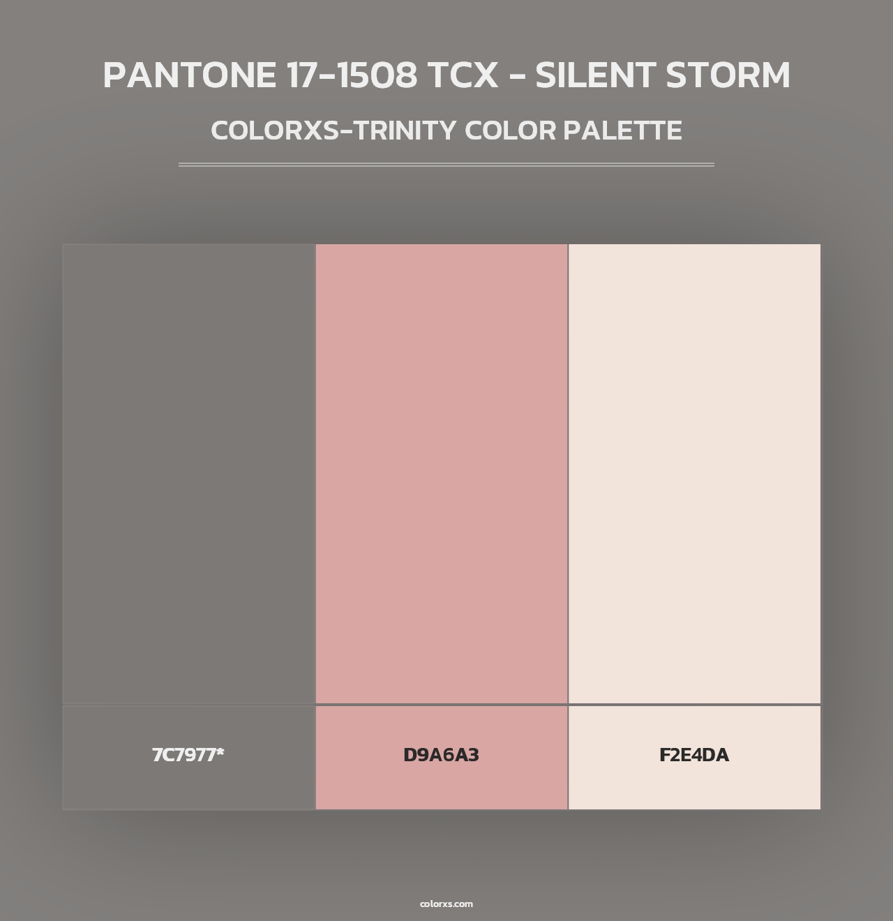 PANTONE 17-1508 TCX - Silent Storm - Colorxs Trinity Palette